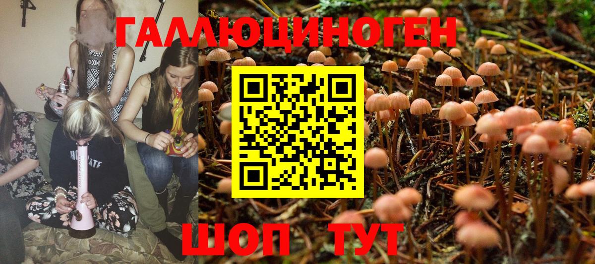 Балабаново  Псилоцибиновые грибы Magic Shrooms  Псилоцибиновые грибы прущие грибы  Вход с VPN 